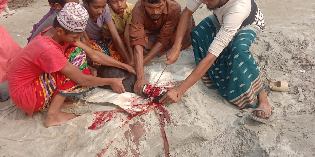 WhatsApp Image 2023-04-01 at 4.06.11 PM (1)