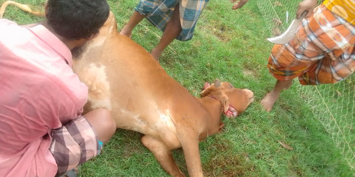 WhatsApp Image 2023-04-01 at 5.27.19 PM