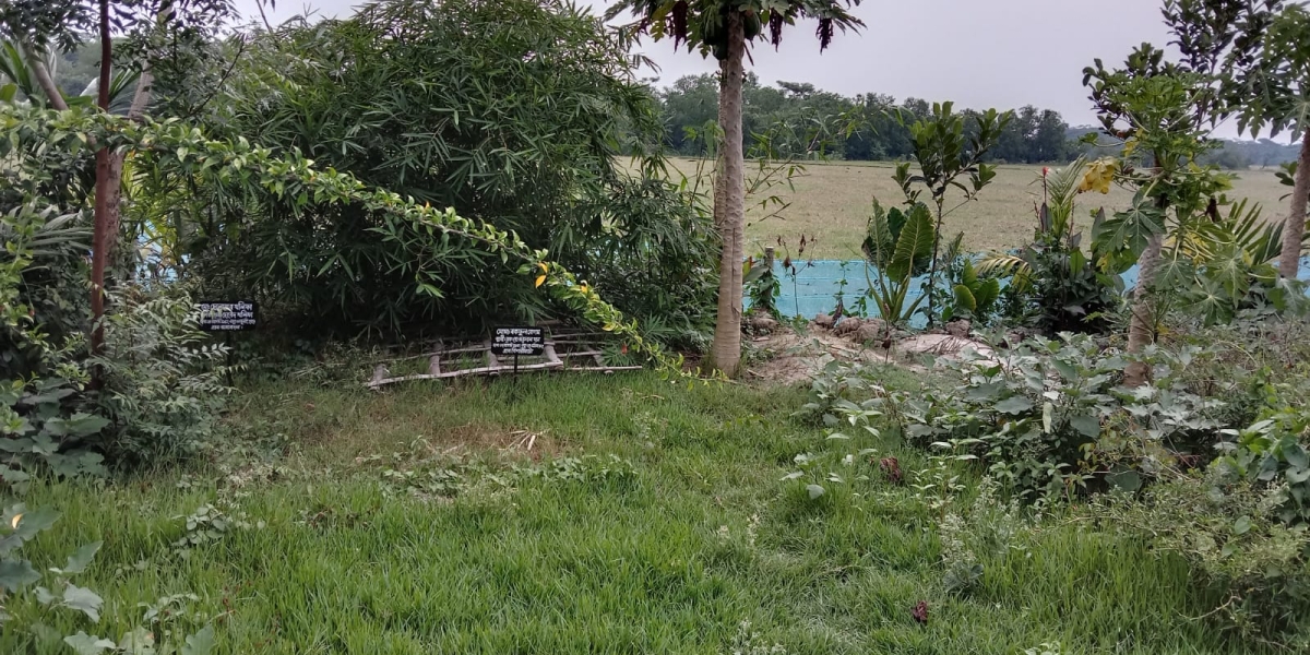 WhatsApp Image 2023-04-30 at 8.31.25 PM